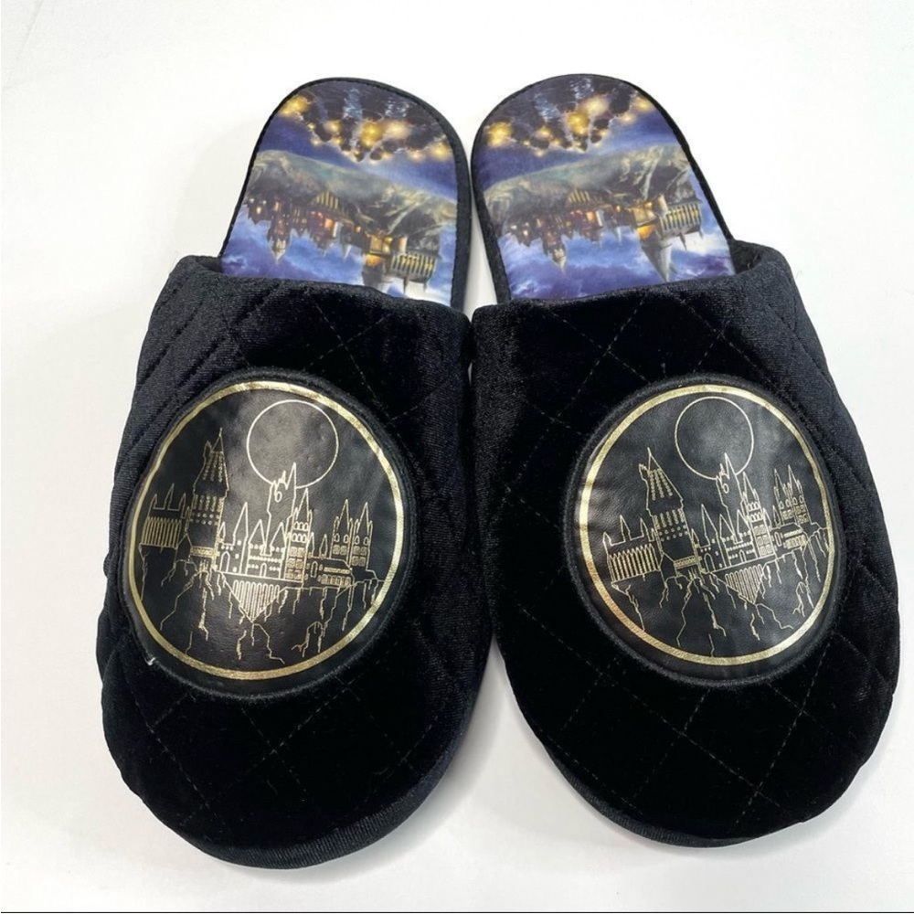 3/$15 Harry Potter Slippers